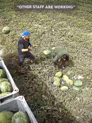 Troll Face: 1 Hour of Epic Memes and Laughs