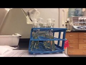 The Effect of Environment Temperature on E. coli Growth Rate and Doubling Time Ecology 2017