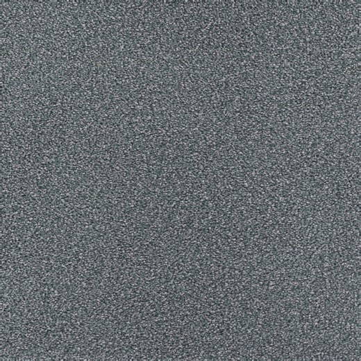Reviews for Home Decorators Collection Spicework I - Springdale - Gray 40 oz. SD Polyester Texture Carpet - Installation Required | Pg 2 - The Home Depot