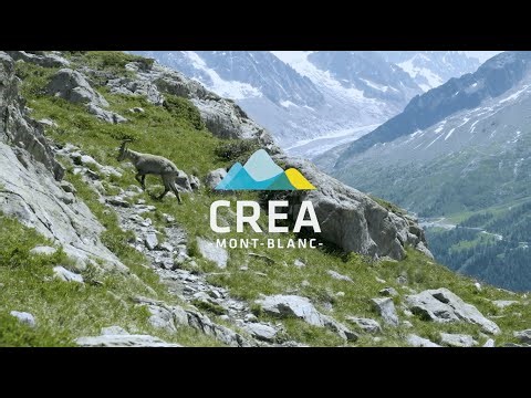 Projet HerbiLand, coexister en altitude