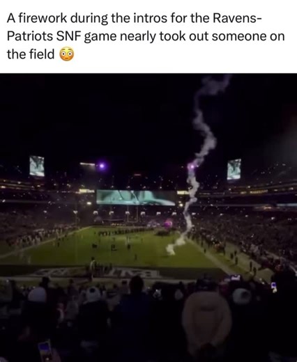 Every Sports Fight 🥊 on Instagram: "Who was in charge of this #esf"