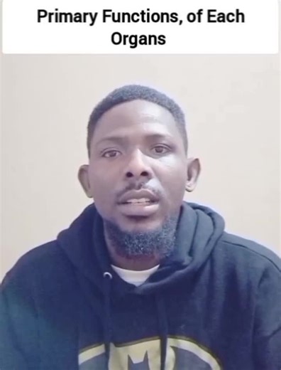 Primary Functions of Each Organs Organs = teamwork #HumanBody #Organs101 #HealthBasics #biology