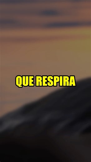 The ROCKS that BREATHE promo code:fabr1 #curiousfacts #interestingfacts #anomaly