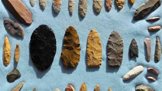 What happens when an ecosystem collapses