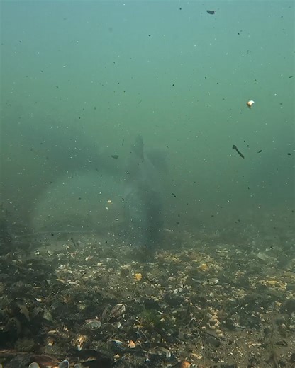 What do we know about margin fishing? 😱 You'll know a lot more on 01.08.24 at 6.30pm! 📹👀 | Fish Matrix