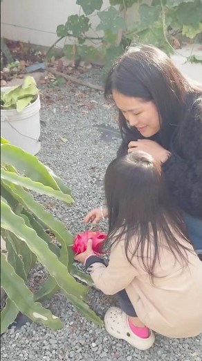 Cuối tuần tại Đảo Síp các gia đình Việt tụ họp cùng nhau ...##daosip #cuocsongdaosip #cyprus #paphos