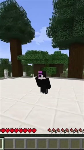 Never Dig Straight Down in Minecraft!⛏️