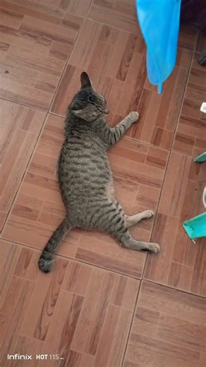 Infinix hot 11s NFC simple video 2/15/26