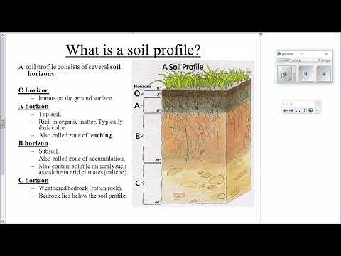 AP Environmental Science (APES) Soil Horizons