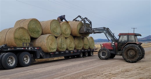 Denton ranchers getting help from Helena-area hay