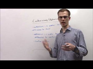 AP Biology: Cohesion and Adhesion