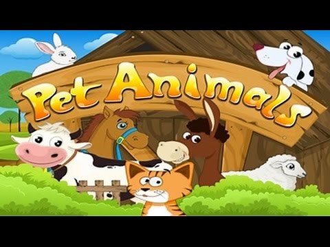 Pet animal activity and song for children full Educational video for babies and toddlers