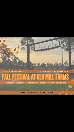 🍁It’s a SWEET weekend at Old Mill Farms! From field to kettle to table, it's cane syrup weekend! We’re firing up the kettle and making fresh cane syrup the old-fashioned way, just like generations before us. Come watch the process, taste the sweetness, and enjoy live music, farm fun, and all things country. 🥞When you taste our syrup, you might just yell "Thank God I'm a Country Boy!" See you this weekend at Old Mill Farms Fall Festival! 📍13407 State Rd 121 N, Macclenny 🎟️ Get your tickets no