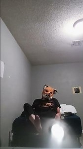 Star Fox has been farting again wake me up at Korea