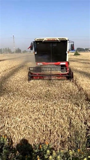"Agricultural Machinery" "Lovol" "Farmland Mechanization Operation #tractorglobal