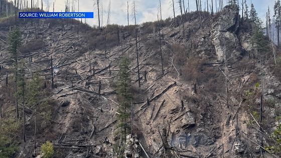 Alabama Forestry firefighter helps battle Idaho fires