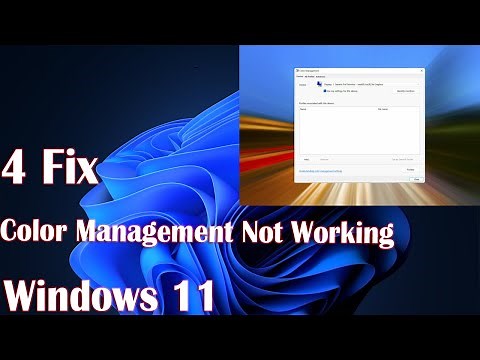 Windows 11 Color Management Not Working? Here's How to Fix It