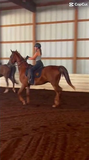 Rode Memphis!! My lower leg had not been eating lately😅 if you can in a NICE way do yall have tips?