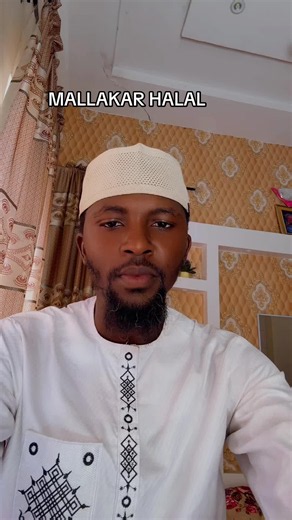 Mallakar Halal: Kano to Abuja Katsi Food Voice Effects