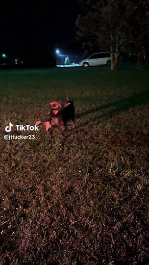 They thinks they’re the same size