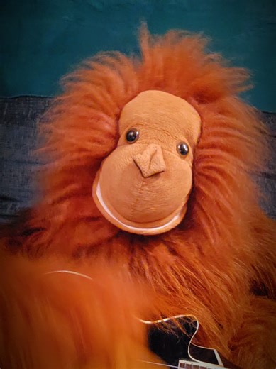 Funny Puppet Song by Ginger Barry