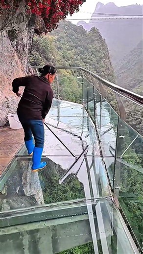 Cleaning glass walkway with long-handled squeegee tool