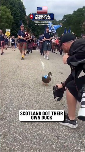 Mexico isn't the only team with a duck this FIFA World Cup