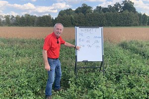 Wheat School: Selecting the right rates for seeding and phosphorus