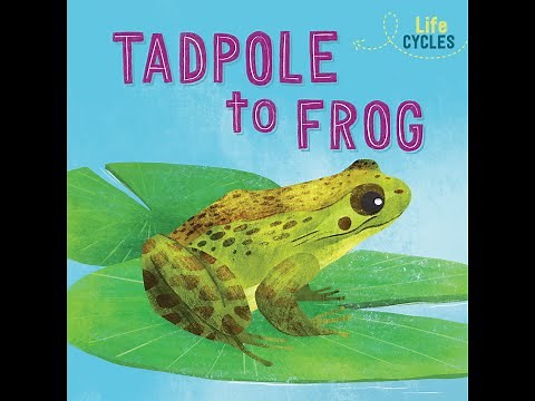 Tadpole to Frog Read Aloud