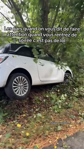 Surtout si vous avez bu de l’alcool !! #voiture #dashcam #route