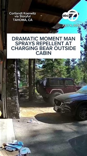 Dramatic moment man sprays repellent at charging bear outside cabin