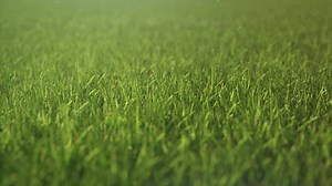 The world of commercial turf care is set to grow and improve. Husqvarna has announced CEORA – our latest innovation that makes professional green space management more efficient ⚽ Using digital monitoring, CEORA facilitates fast, large-scale mowing. Delivering high performance and saving time. Watch the full presentation at https://www.husqvarna.com/uk/sustainovate/_livingcity/ #Husqvarna #CommercialTurfCare #LargeScaleMowing #SystematicMowing #RoboticMower | Husqvarna | Facebook