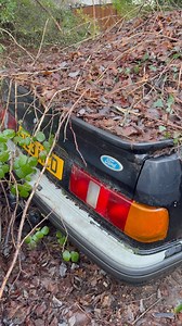 ABANDONED FORD SIERRA #automotive #automobile #ford #fordperformance #fordsierra #vintage #retro #classic #abandoned #abandonedplaces #car #cars #cargram #1980s #nostalgia #fyp #viral #viralvideochallenge #urbex #exploremore #explore #explorereels | Exploring With Boss