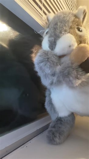 idrc abt what they say #fyppppppppppppppppppppppp #fypツviral #handpuppet #nibbles #boomerang