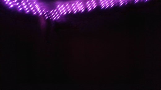 Can't understand why the camera kept going out!. | David Sackett