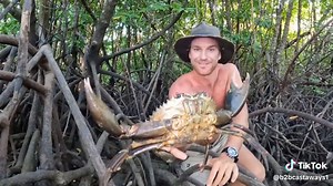 MUDCRAB BAREHANDED Catch n Cook (New Adventure Begins!) part 7 #b2bcastaways #fishing