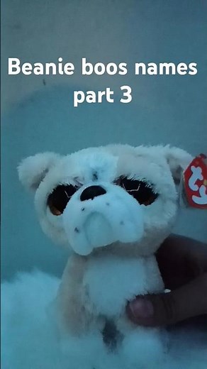 Beanie boos names (part 3)