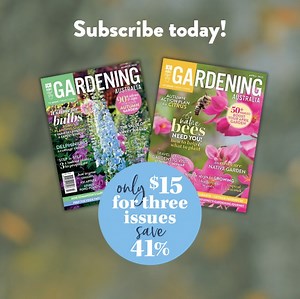 🌱 Gardening is a never-ending learning curve, but we’re here to help! ABC Gardening Australia magazine is filled with useful, solutions-based information to help you on your gardening journey. There’s expert advice tailored to local conditions, seasonal planting guides and step-by-step instruction to help your garden thrive. 💡 Take the next step in your gardening journey - subscribe today and get 3 issues for just $15, saving 41% off the cover price! | ABC Gardening Australia magazine