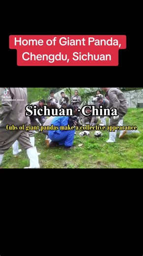 Chengdu, the capital of Sichuan Province in southwest China, is famously known as the