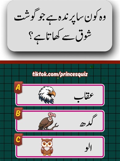 Challenging Bird Quiz for General Knowledge Enthusiasts