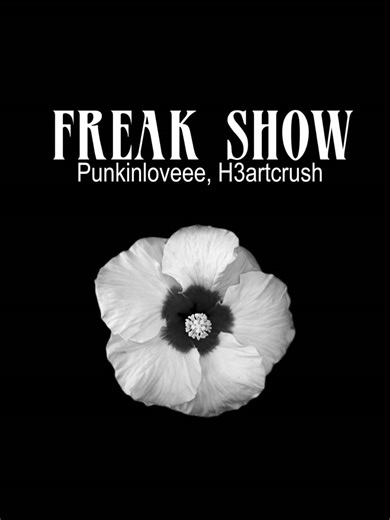 freak show #song #lyrics #slowedsongs #lyrics_songs #fyp