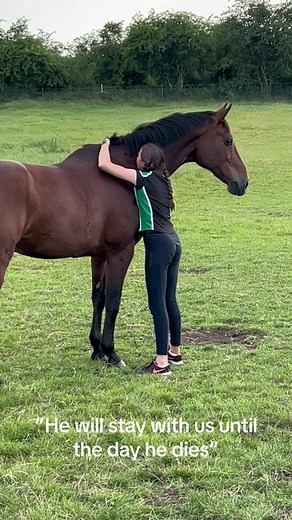 Equestrian Life: My Beloved Horse Journey🐎