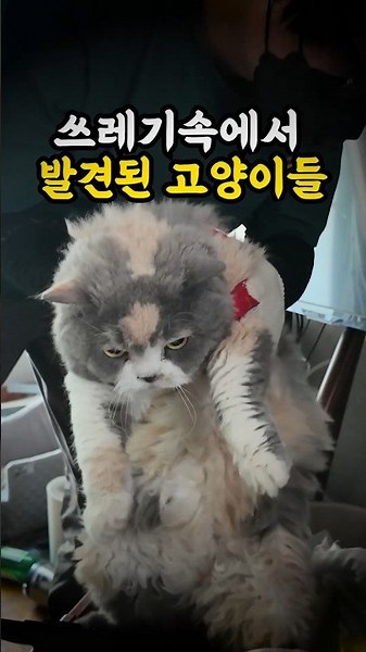 방치