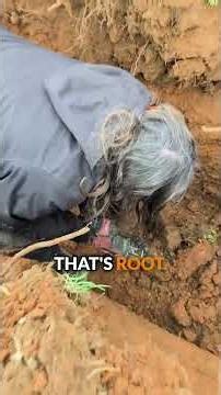 Nasty Root Clog! 🤢☘️