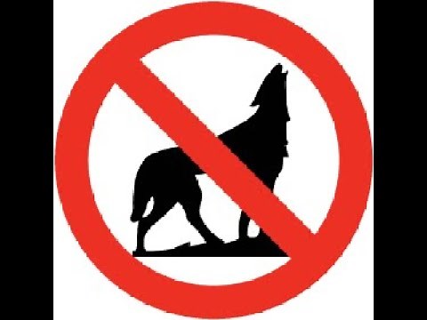 Better Than Wolves V3.0.0 | гайд на установку