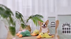 Amazon.com: HEYDEZHI Calming Duck Toy, Soothe Like a Mother's Presence, Provide Emotion Support for Anxiety Dogs : Pet Supplies