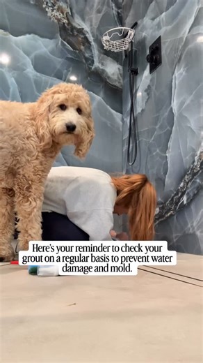 Lauren | The Biotoxin Lady | CIRS Educator on Instagram: "Grout fails…often. A home settles, hair line cracks appear, pieces come loose, and water seeps in. These small cracks and gaps can become a big, big problem. It’s one of those out of sight out of mind mold problems fueling immune activation. Surface mold is common, and can be safely cleaned with a simple surfactant based cleaner or soap and water. Here’s the red flag 🚩 If you clean surface mold and it keeps coming back or your grout cont