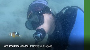 In the last scuba dive of our five-part series, we are trying to find Nemo or clownfish in the bay off Shelter Island in Sai Kung, Hong Kong. David shows us some of his diving gadgets and DJ keeps an eye out for unexploded bombs. #DroneAndPhone #ScubaDiving #diving #underwater | China Daily