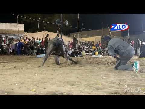 Combat préliminaire SATHIE MBAYE VS FODÉ MBISSANE A DJILOR LE 14/02/2026