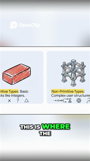 Primitive vs Non Primitive Data Types - Data Structures